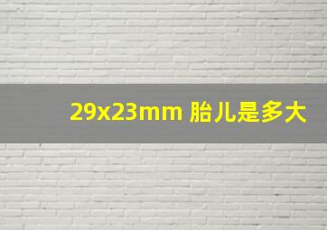 29x23mm 胎儿是多大